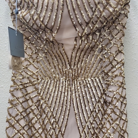 Elegant Champagne Gown - Picture 5 of 9